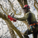 EINHELL VEZETÉK NÉLKÜLI LÁNCFŰRÉSZ – KÉSZLETKISÖPRÉS AKCIÓ – INGYENES SZÁLLÍTÁS 24 ÓRÁN BELÜL